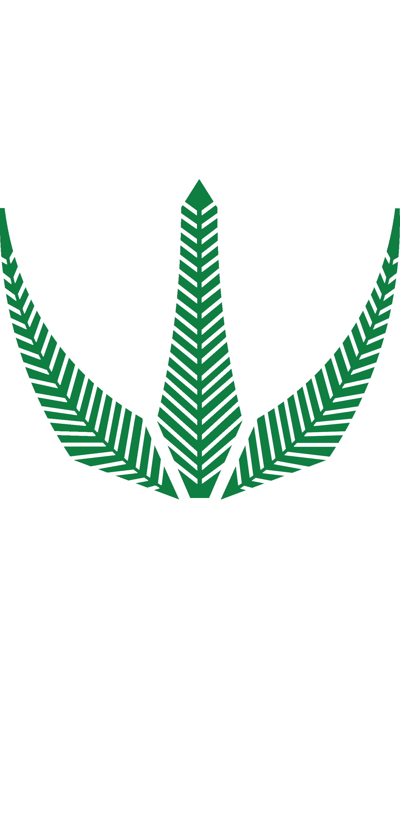 Brackenfell Cricket Club